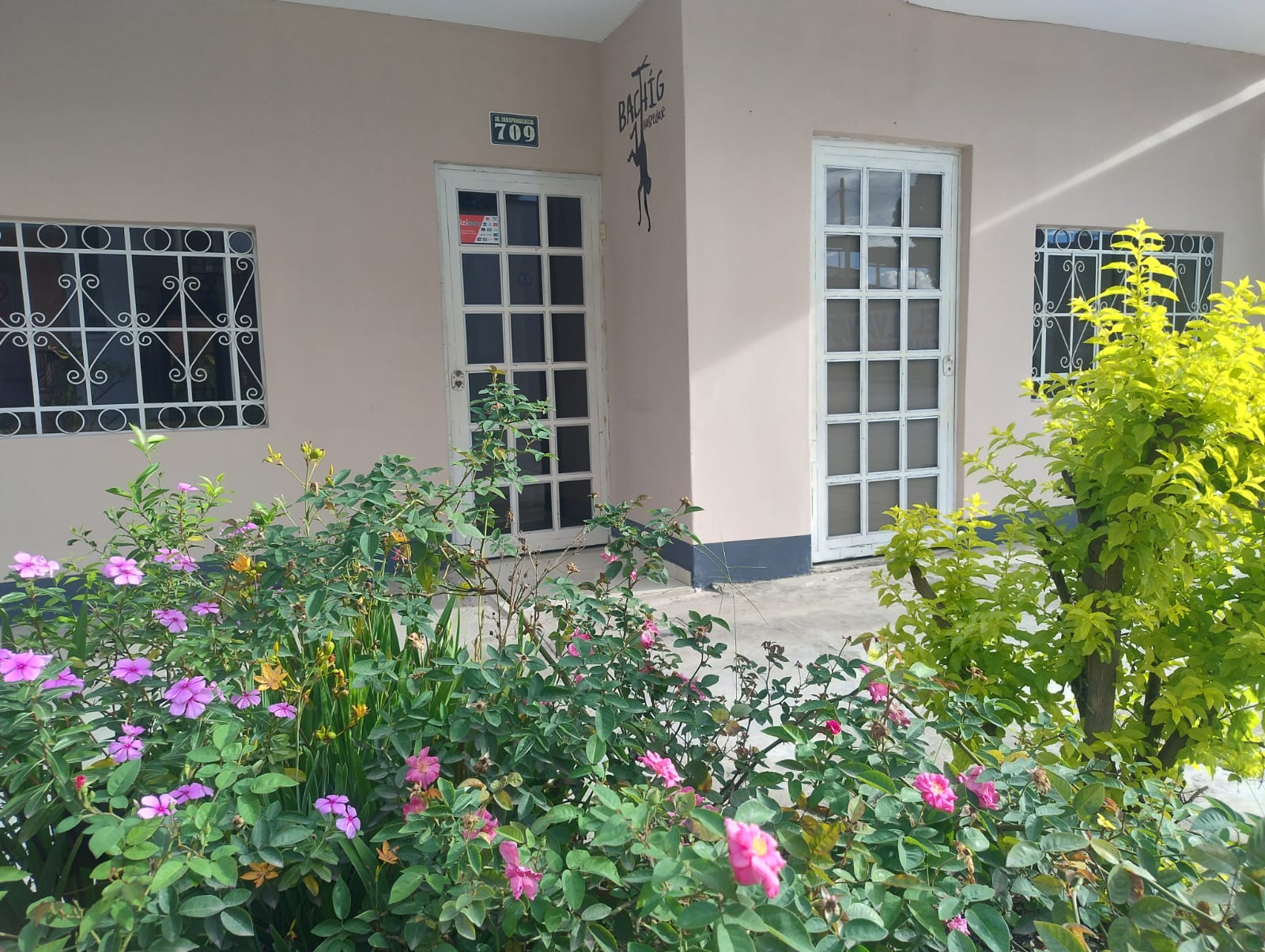 Galería Bachíg 1